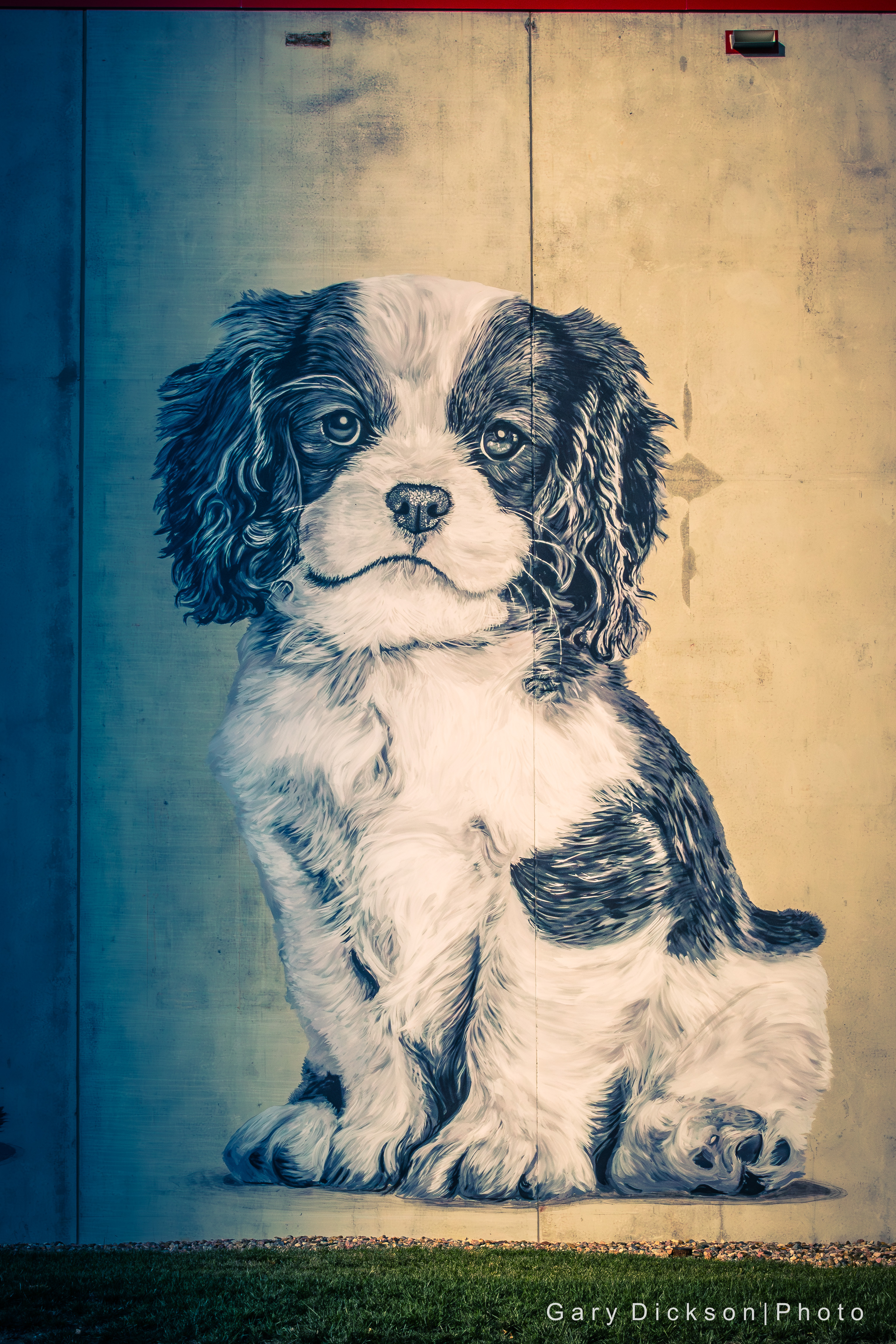 Siouxland Observed #8: Woof! Where am I?