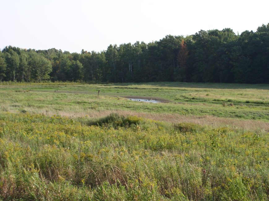 Union of Concerned Scientists pushes for wetland protections in Farm Bill